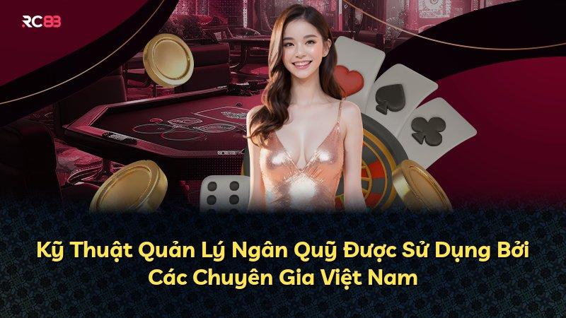 Kỹ Thuật Quản Lý Ngân Quỹ Được Sử Dụng Bởi Các Chuyên Gia Việt Nam