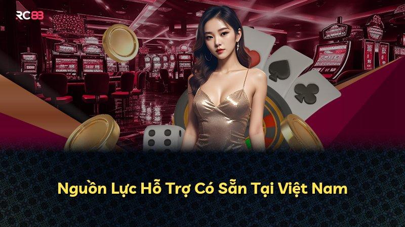 Nguồn Lực Hỗ Trợ Có Sẵn Tại Việt Nam