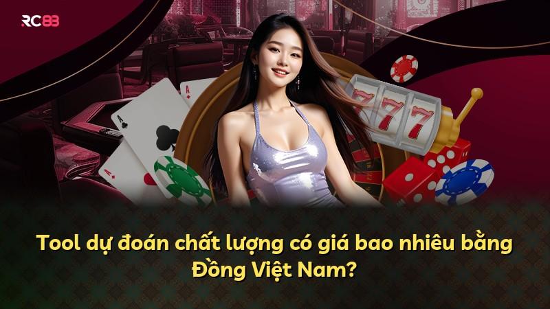 Tool dự đoán chất lượng có giá bao nhiêu bằng Đồng Việt Nam?