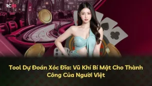 Tool Dự Đoán Xóc Đĩa: Vũ Khí Bí Mật Cho Thành Công Của Người Việt
