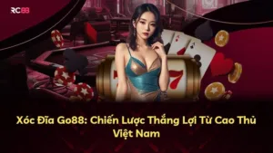 Xóc Đĩa Go88: Chiến Lược Thắng Lợi Từ Cao Thủ Việt Nam